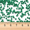Baking Paint Glass Seed Beads SEED-S042-05A-20-4