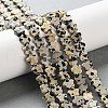 Natural Dalmatian Jasper Beads Strands G-B138-C08-01-5