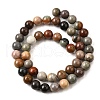 Natural Picture Jasper Beads Strands G-S390-07-8mm-3