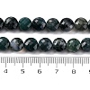 Natural Moss Agate Beads Strands G-C179-A21-03-5
