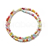 Dyed Natural Freshwater Shell Beads Strands SHEL-G014-05B-02-2