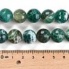 Natural Fire Crackle Agate Beads Strands X-G-L595-A02-01E-5