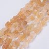 Raw Rough Natural Citrine Bead Strands G-F403-09-1