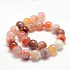 Natural Sardonyx Beads Strands X-G-K155-D-12mm-01-2