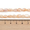 Natural Cultured Freshwater Pearl Beads Strands PEAR-P064-20H-02B-5