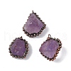 Natural Amethyst Pendants G-F739-09R-02-1