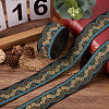 Ethnic Style Embroidery Polyester Ribbons SK-TAC0001-02-5