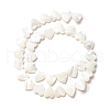 Natural Trochid Shell/Trochus Shell Beads SSHEL-O001-27C-1