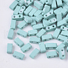 2-Hole Glass Seed Beads SEED-S023-31B-05-1