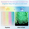   9000Pcs 9 Colors Luminous Glow in the Dark Glass Beads GLAA-PH0003-23-4