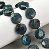 Natural Apatite Beads Strands G-C116-A159-03-1