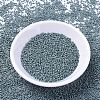 MIYUKI Delica Beads SEED-J020-DB1172-2