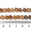Natural Picture Jasper Beads Strands G-B138-C09-01-5