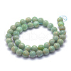 Natural Amazonite Beads Strands G-P322-22-10mm-3