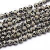 Natural Dalmatian Jasper Round Bead Strands G-J303-19-6mm-1