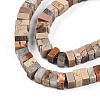 Natural Aqua Terra Jasper Beads Strands G-T140-52-3