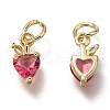 Brass Micro Pave Deep Pink Cubic Zirconia Charms ZIRC-I051-08G-2