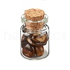 Transparent Glass Wishing Bottle Decoration DJEW-A001-01C-12-4