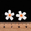 Natural Freshwater Shell Beads Strands SHEL-F004-04-01-4