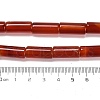 Natural Red Agate Beads Strands G-NH0020-A01-01-5