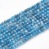 Natural Apatite Beads Strands X-G-T064-17-2mm-1