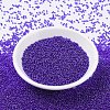 MIYUKI Round Rocailles Beads SEED-X0054-RR0176-2