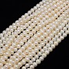 Natural Cultured Freshwater Pearl Beads Strands X1-PEAR-L001-C-05-1