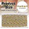 19.5M Polyester Wave Lace Ribbon OCOR-WH0100-02A-2