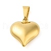PVD Vacuum Plating 304 Stainless Steel Pendants STAS-R229-04B-G-1