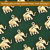 Unicraftale 20Pcs 304 Stainless Steel Charms STAS-UN0028-84-5