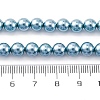 Shell Pearl Beads Strands BSHE-K015-6mm-02-2