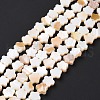 Natural Freshwater Shell Beads Strands SHEL-H002-03G-3