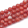 Dyed Natural Crackle Agate Beads Strands G-T100-02C-1