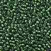 TOHO Round Seed Beads SEED-XTR11-1006-2