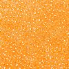 TOHO Round Seed Beads X-SEED-TR08-0801-2