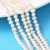 Natural Cultured Freshwater Pearl Beads Strands PEAR-I007-07O-11C-1