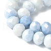 Electroplate Handmade Lampwork Beads Strands LAMP-S068-11I-3