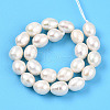 Natural Cultured Freshwater Pearl Beads Strands PEAR-N012-06Y-2