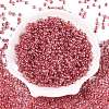 6/0 Transparent Inside Colours Glass Seed Round Beads X1-SEED-N006-004L-2