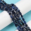 Natural Sodalite Beads Strands G-C080-B05-01-4