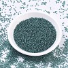 MIYUKI Round Rocailles Beads SEED-X0054-RR1933-1