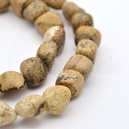 Natural Picture Jasper Bead Strands G-P070-19-1