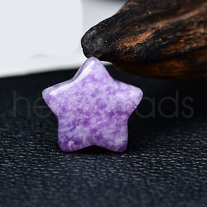 Natural Lepidolite Star Display Decorations PW-WG23045-16-1