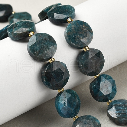 Natural Apatite Beads Strands G-C116-A159-03-1