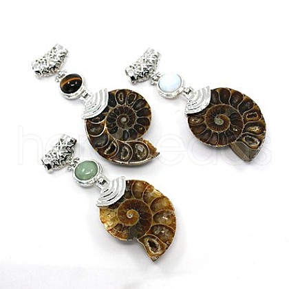Gemstone Fossil Snail Big Pendants G-F062-M-1