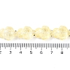 Transparent Glass Enamel Beads Strands GLAA-B021-06C-4