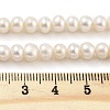 Natural Cultured Freshwater Pearl Beads Strands PEAR-C003-34A-5