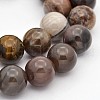 Natural Petrified Wood Round Beads Strands G-P101-01-10mm-1