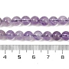 Natural Amethyst Beads Strands G-M445-6mm-01C-5