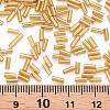 Plated Glass Bugle Beads X-SEED-S046-01A-22B-4
